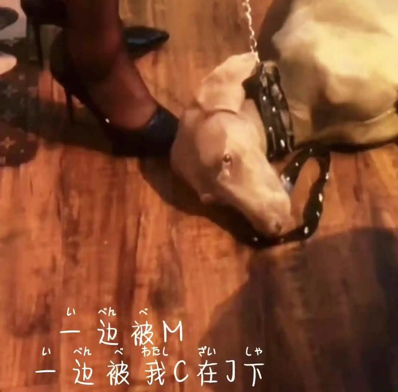 西檬之家字母圈的aftercare:为什么这项实践至关重要? 一