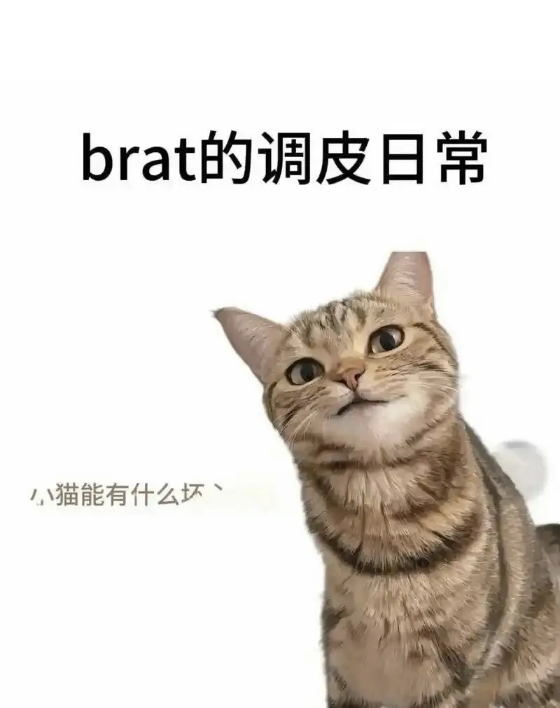 西檬之家字母圈中的女王角色是什么意思? 一