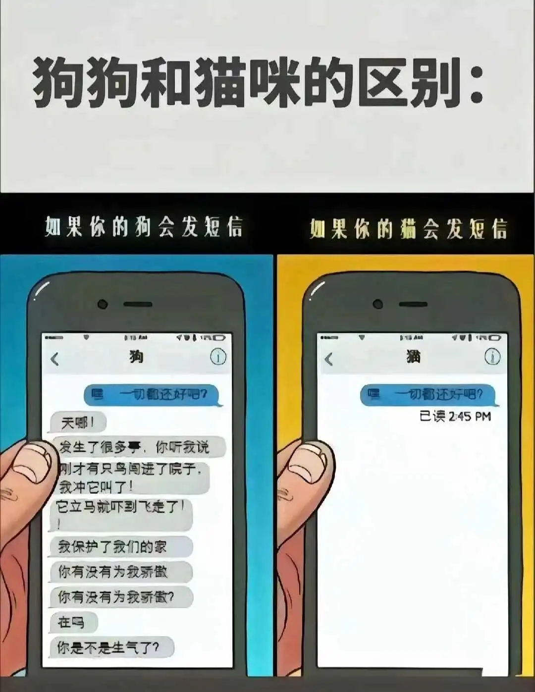 西檬之家brat属性是什么?你的字母圈属性是什么? 一
