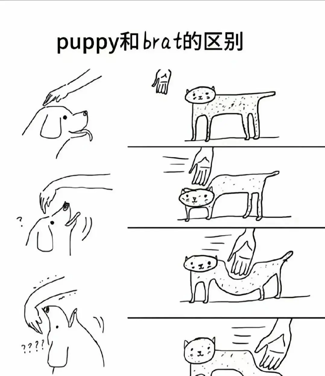 西檬之家BDSM是什么意思?新人入门指南 一