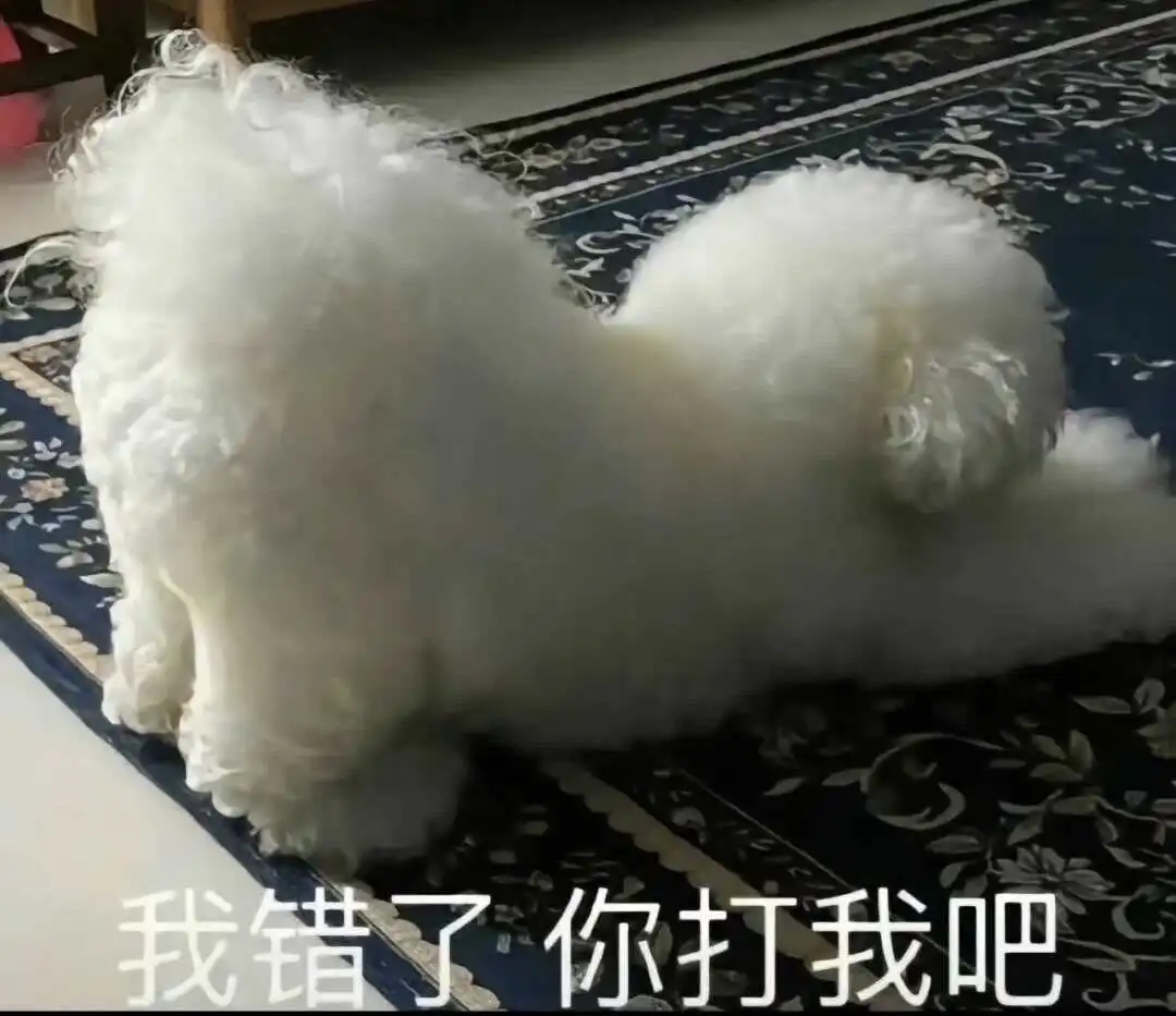 西檬之家k9犬系怎么玩?字母圈新人入圈 一