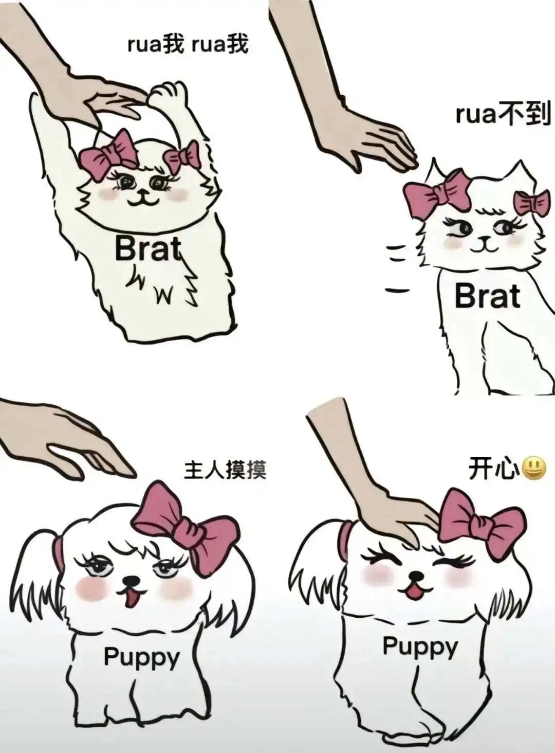 西檬之家字母圈入圈新手指南 一