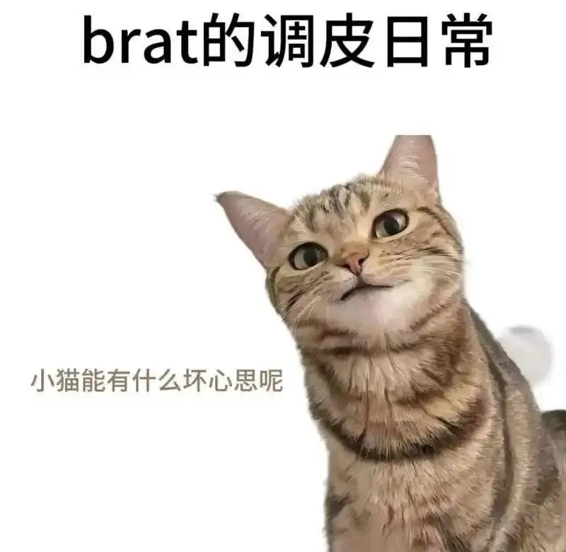 西檬之家字母圈SP打屁股是什么意思 一